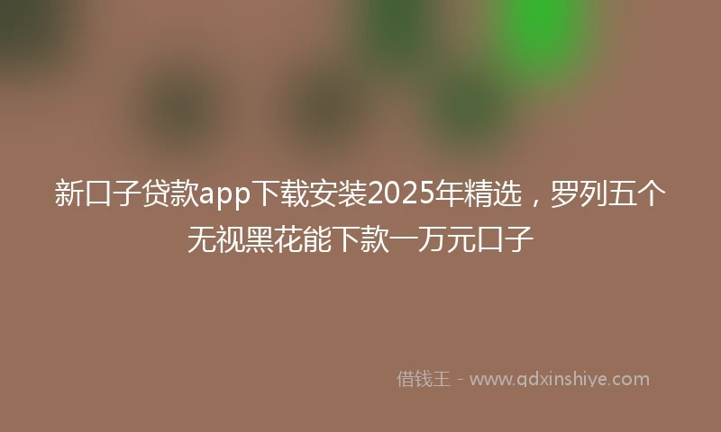 新口子贷款app下载安装2025年精选，罗列五个无视黑花能下款一万元口子