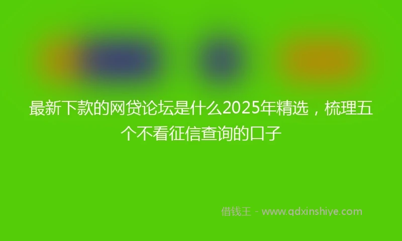 最新下款的网贷论坛是什么2025年精选，梳理五个不看征信查询的口子