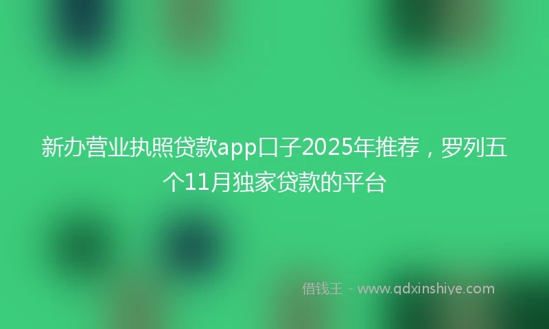新办营业执照贷款app口子2025年推荐，罗列五个11月独家贷款的平台