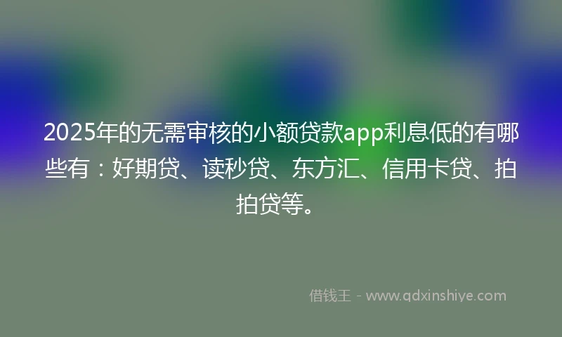 2025年的无需审核的小额贷款app利息低的有哪些有：好期贷、读秒贷、东方汇、信用卡贷、拍拍贷等。
