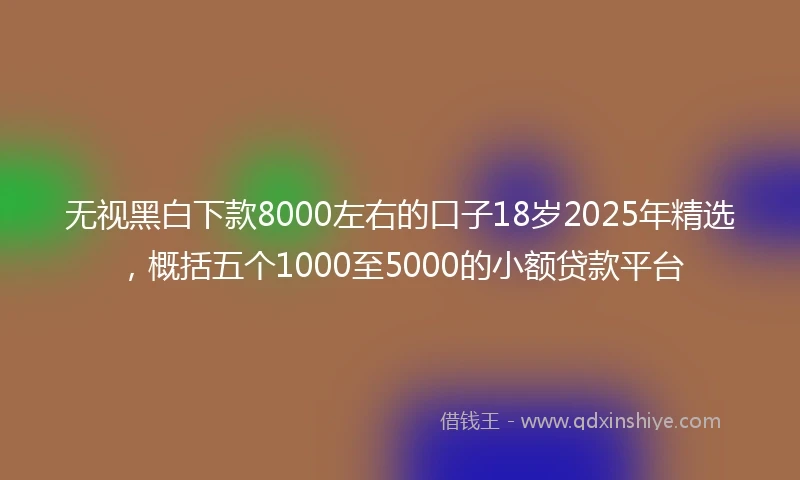 无视黑白下款8000左右的口子18岁2025年精选，概括五个1000至5000的小额贷款平台