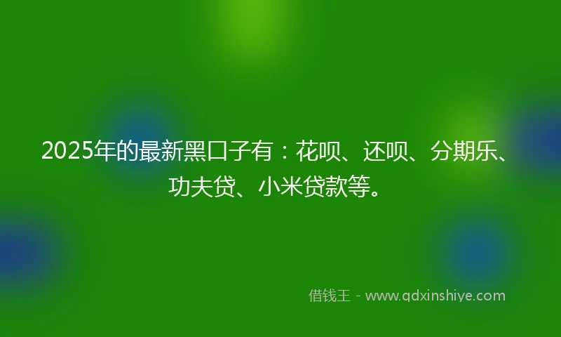 2025年的最新黑口子有：花呗、还呗、分期乐、功夫贷、小米贷款等。