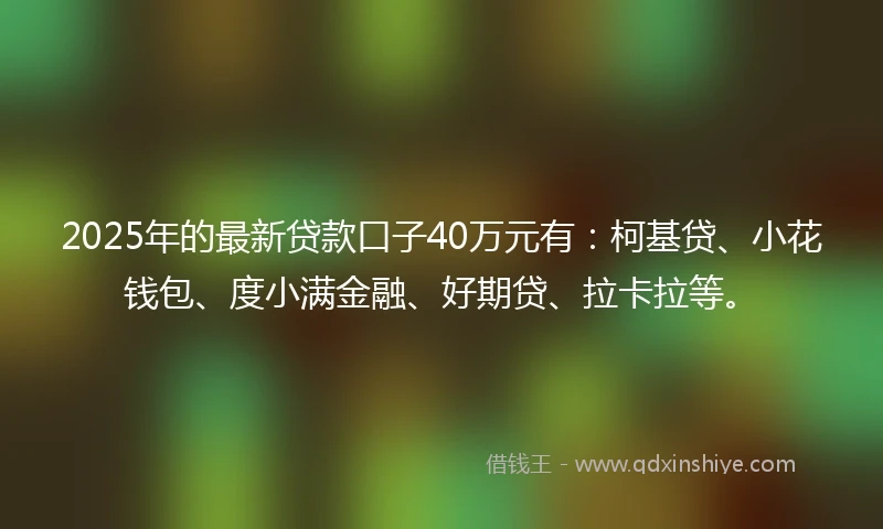 2025年的最新贷款口子40万元有:柯基贷、小花钱包、度小满金融、好期贷、拉卡拉等。