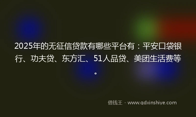 2025年的无征信贷款有哪些平台有：平安口袋银行、功夫贷、东方汇、51人品贷、美团生活费等。