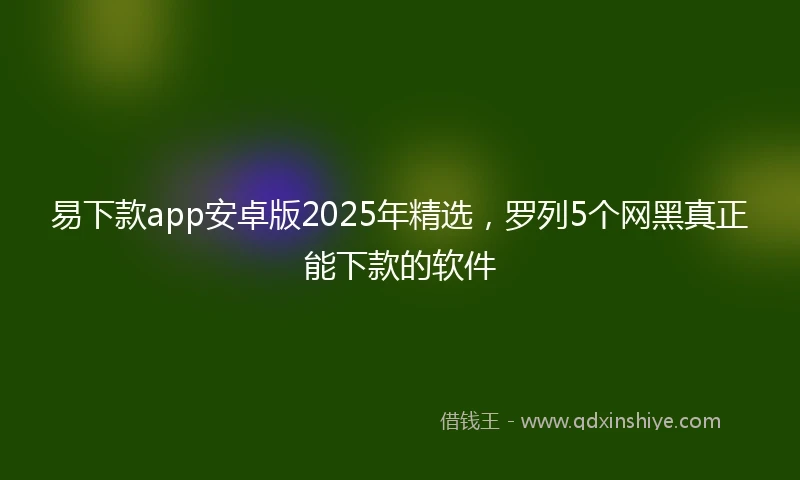 易下款app安卓版2025年精选，罗列5个网黑真正能下款的软件