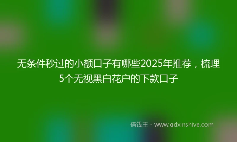 无条件秒过的小额口子有哪些2025年推荐，梳理5个无视黑白花户的下款口子