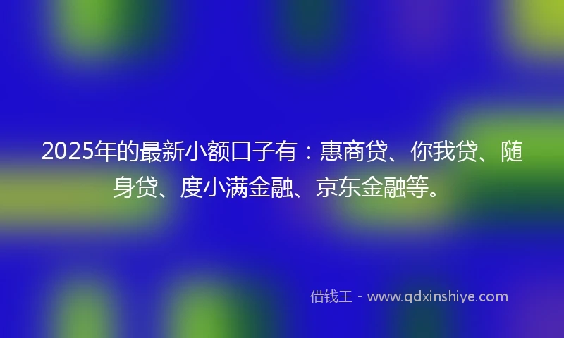 2025年的最新小额口子有:惠商贷、你我贷、随身贷、度小满金融、京东金融等。