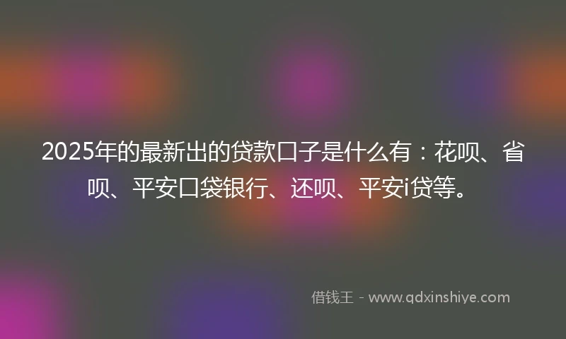 2025年的最新出的贷款口子是什么有：花呗、省呗、平安口袋银行、还呗、平安i贷等。