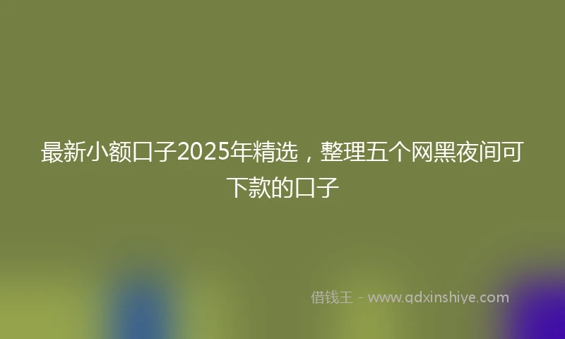 最新小额口子2025年精选，整理五个网黑夜间可下款的口子