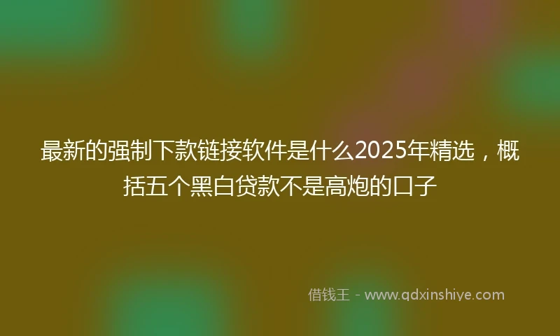 最新的强制下款链接软件是什么2025年精选，概括五个黑白贷款不是高炮的口子