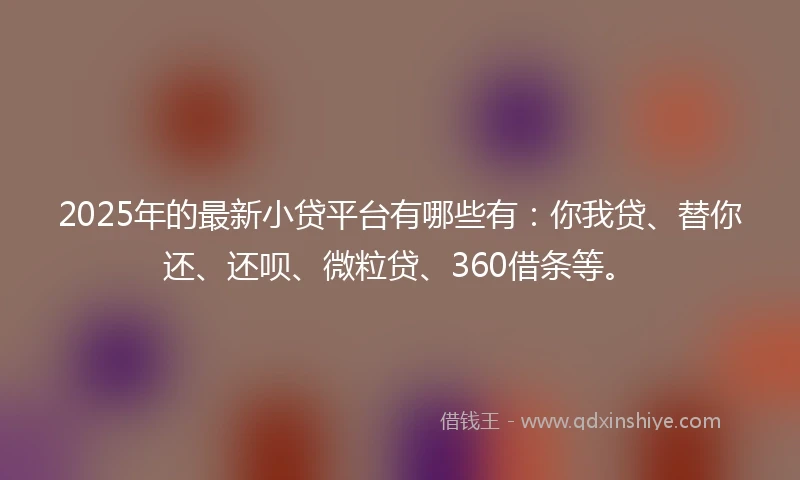 2025年的最新小贷平台有哪些有：你我贷、替你还、还呗、微粒贷、360借条等。