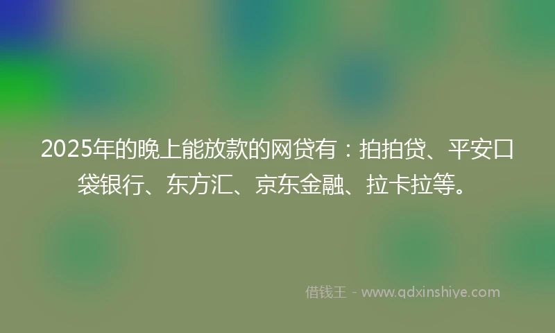 2025年的晚上能放款的网贷有：拍拍贷、平安口袋银行、东方汇、京东金融、拉卡拉等。