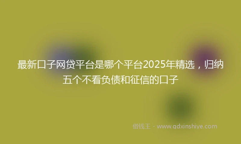 最新口子网贷平台是哪个平台2025年精选，归纳五个不看负债和征信的口子