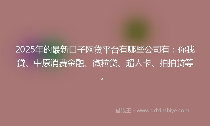 2025年的最新口子网贷平台有哪些公司有：你我贷、中原消费金融、微粒贷、超人卡、拍拍贷等。