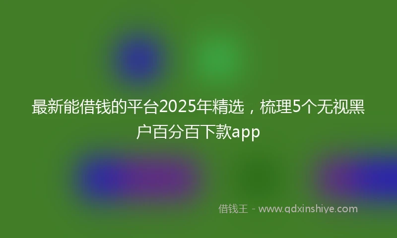最新能借钱的平台2025年精选,梳理5个无视黑户百分百下款app