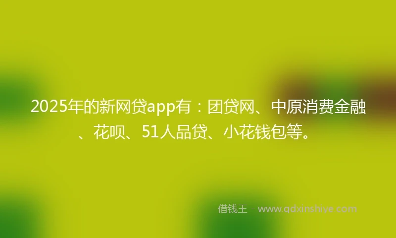 2025年的新网贷app有：团贷网、中原消费金融、花呗、51人品贷、小花钱包等。