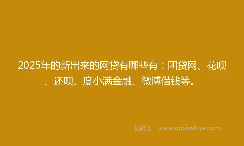 2025年的新出来的网贷有哪些有：团贷网、花呗、还呗、度小满金融、微博借钱等。