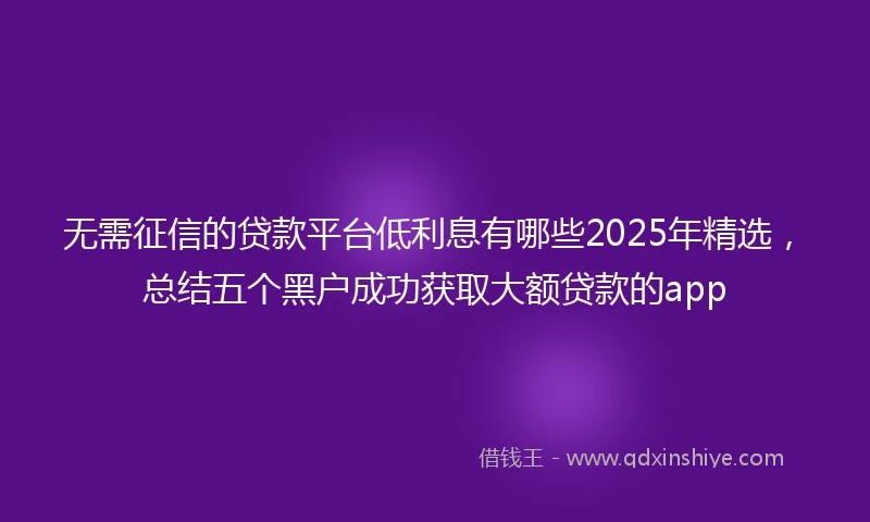 无需征信的贷款平台低利息有哪些2025年精选，总结五个黑户成功获取大额贷款的app