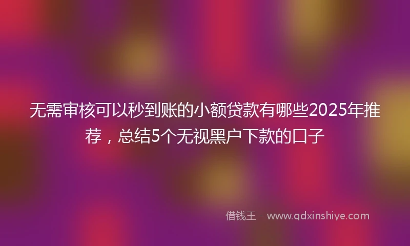 无需审核可以秒到账的小额贷款有哪些2025年推荐，总结5个无视黑户下款的口子