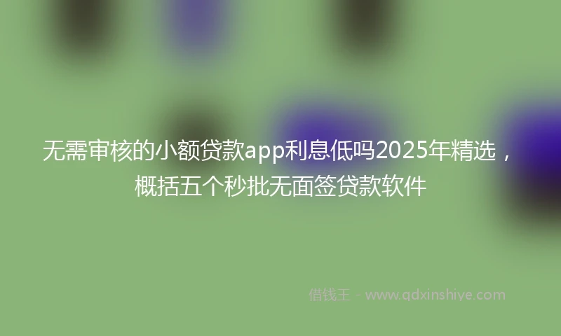 无需审核的小额贷款app利息低吗2025年精选，概括五个秒批无面签贷款软件