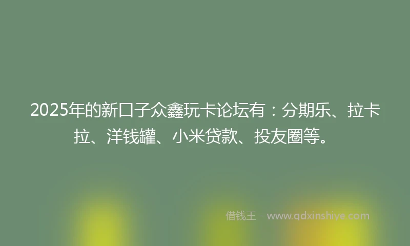 2025年的新口子众鑫玩卡论坛有：分期乐、拉卡拉、洋钱罐、小米贷款、投友圈等。
