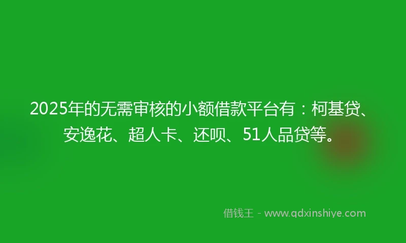 2025年的无需审核的小额借款平台有：柯基贷、安逸花、超人卡、还呗、51人品贷等。