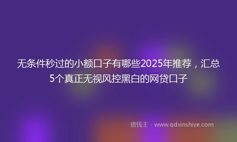 无条件秒过的小额口子有哪些2025年推荐，汇总5个真正无视风控黑白的网贷口子