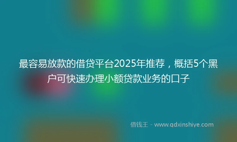最容易放款的借贷平台2025年推荐，概括5个黑户可快速办理小额贷款业务的口子
