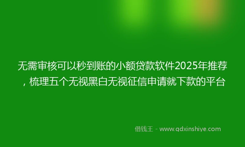 无需审核可以秒到账的小额贷款软件2025年推荐，梳理五个无视黑白无视征信申请就下款的平台