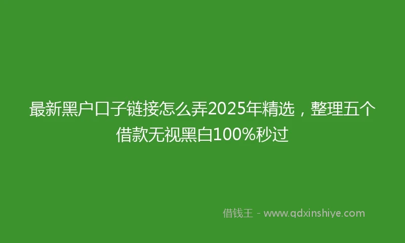 最新黑户口子链接怎么弄2025年精选，整理五个借款无视黑白100%秒过