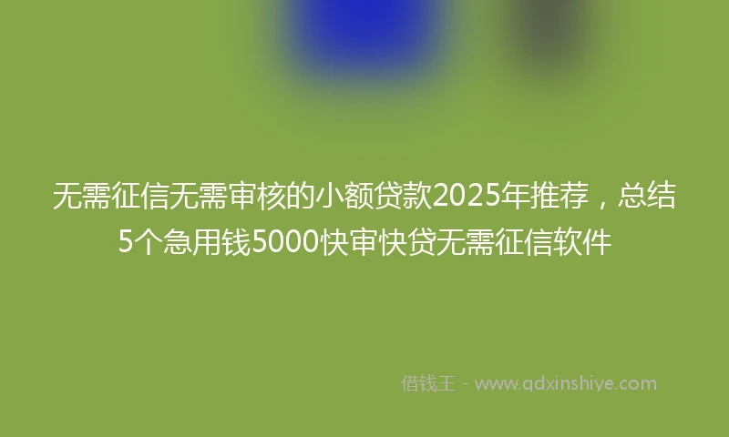 无需征信无需审核的小额贷款2025年推荐，总结5个急用钱5000快审快贷无需征信软件