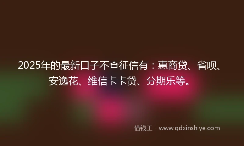 2025年的最新口子不查征信有：惠商贷、省呗、安逸花、维信卡卡贷、分期乐等。