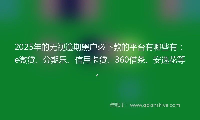 2025年的无视逾期黑户必下款的平台有哪些有：e微贷、分期乐、信用卡贷、360借条、安逸花等。