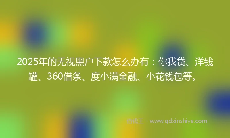 2025年的无视黑户下款怎么办有：你我贷、洋钱罐、360借条、度小满金融、小花钱包等。