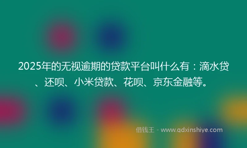 2025年的无视逾期的贷款平台叫什么有：滴水贷、还呗、小米贷款、花呗、京东金融等。