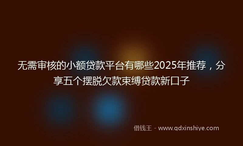 无需审核的小额贷款平台有哪些2025年推荐，分享五个摆脱欠款束缚贷款新口子