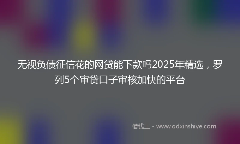 无视负债征信花的网贷能下款吗2025年精选，罗列5个审贷口子审核加快的平台