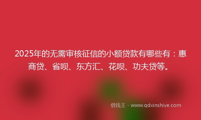 2025年的无需审核征信的小额贷款有哪些有：惠商贷、省呗、东方汇、花呗、功夫贷等。