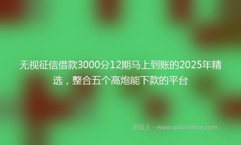 无视征信借款3000分12期马上到账的2025年精选，整合五个高炮能下款的平台
