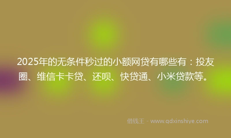 2025年的无条件秒过的小额网贷有哪些有：投友圈、维信卡卡贷、还呗、快贷通、小米贷款等。
