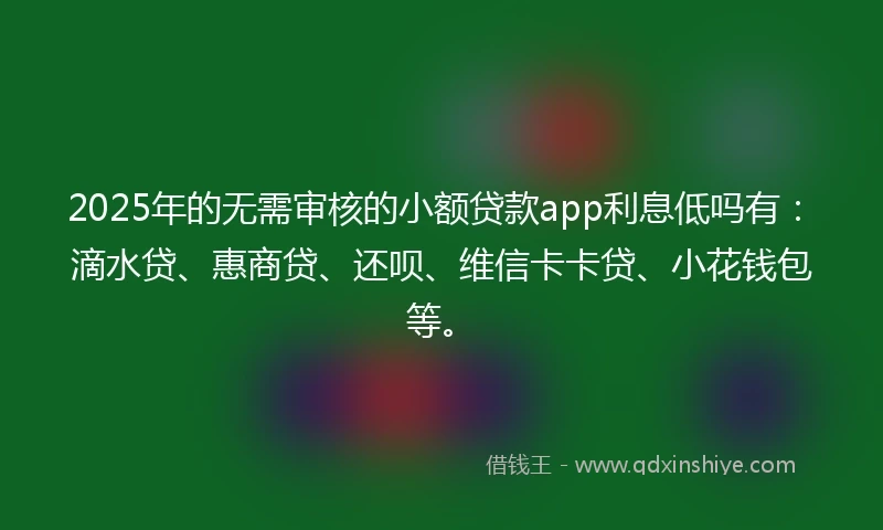 2025年的无需审核的小额贷款app利息低吗有：滴水贷、惠商贷、还呗、维信卡卡贷、小花钱包等。