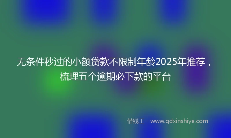 无条件秒过的小额贷款不限制年龄2025年推荐，梳理五个逾期必下款的平台