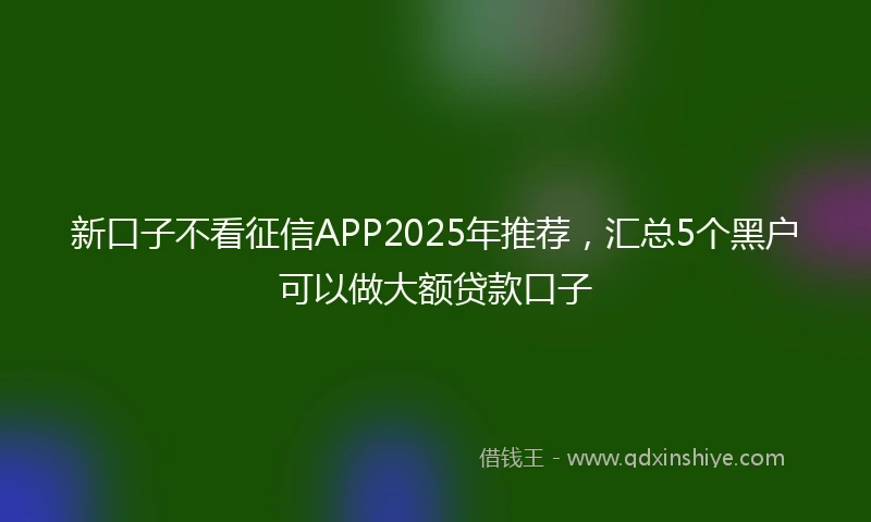 新口子不看征信APP2025年推荐，汇总5个黑户可以做大额贷款口子