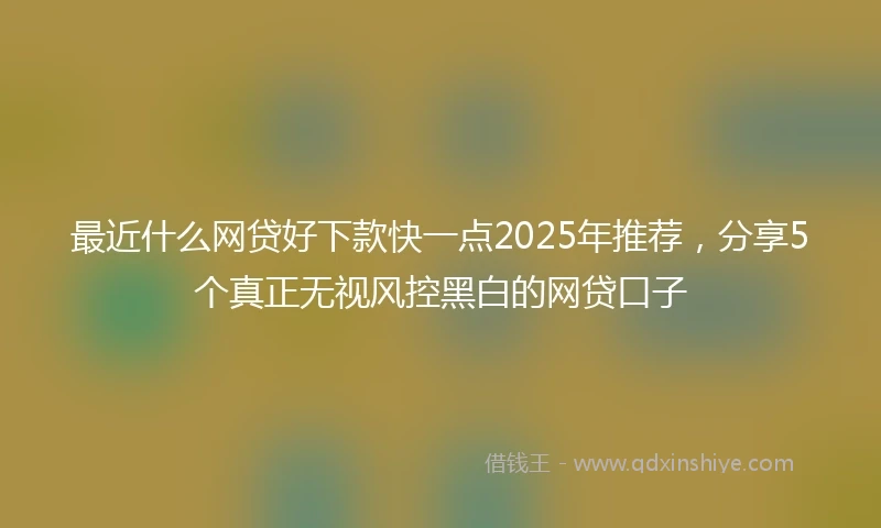 最近什么网贷好下款快一点2025年推荐，分享5个真正无视风控黑白的网贷口子