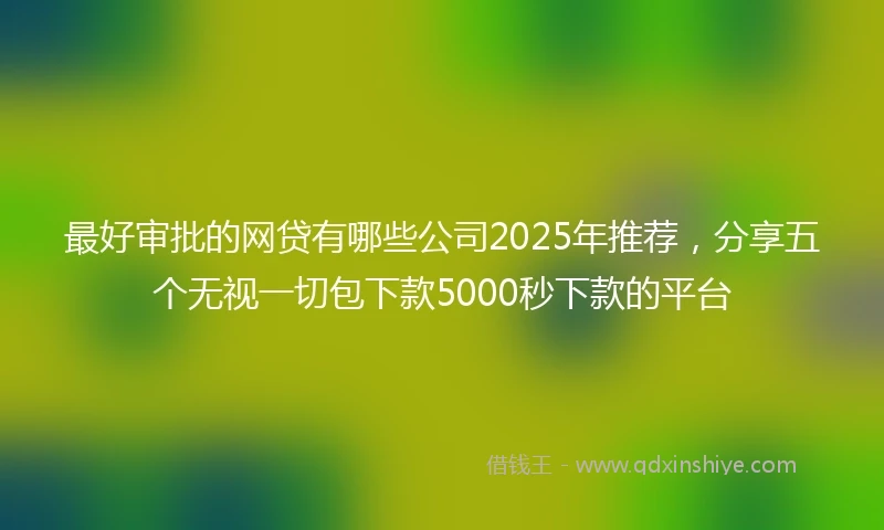 最好审批的网贷有哪些公司2025年推荐，分享五个无视一切包下款5000秒下款的平台