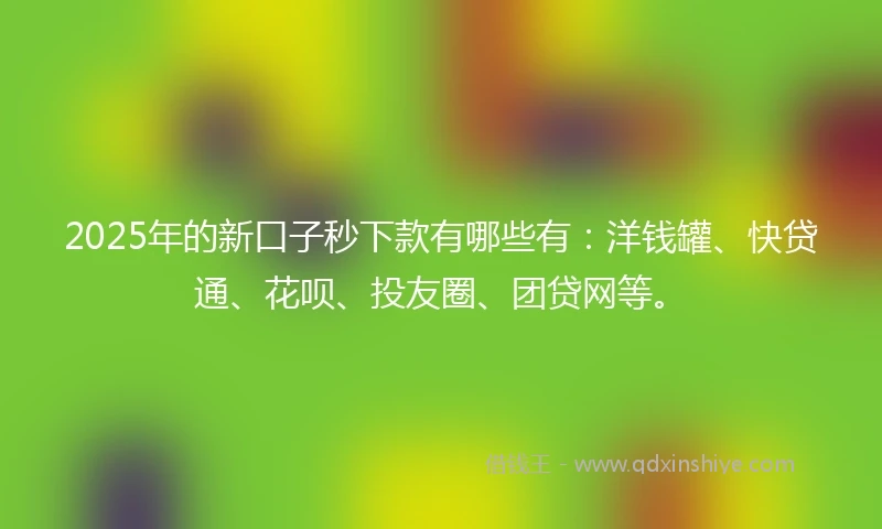 2025年的新口子秒下款有哪些有：洋钱罐、快贷通、花呗、投友圈、团贷网等。