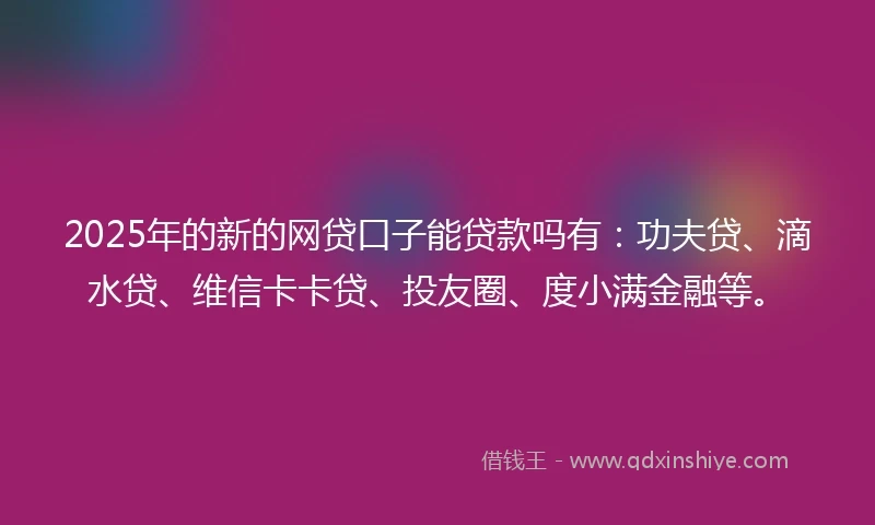 2025年的新的网贷口子能贷款吗有：功夫贷、滴水贷、维信卡卡贷、投友圈、度小满金融等。