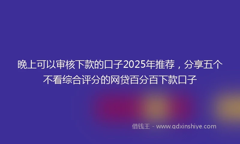 晚上可以审核下款的口子2025年推荐，分享五个不看综合评分的网贷百分百下款口子
