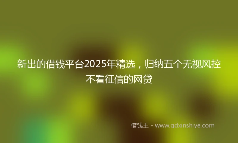 新出的借钱平台2025年精选，归纳五个无视风控不看征信的网贷