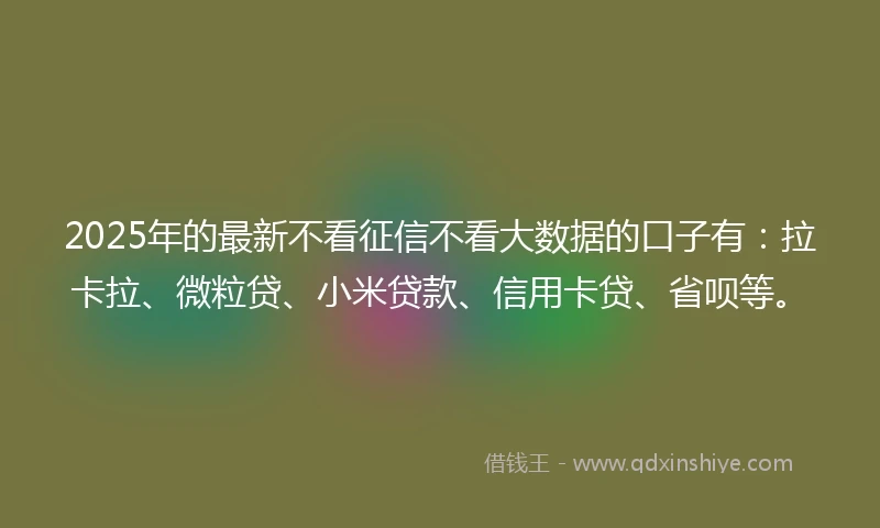 2025年的最新不看征信不看大数据的口子有：拉卡拉、微粒贷、小米贷款、信用卡贷、省呗等。